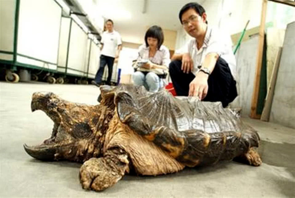 地方新闻 第49页